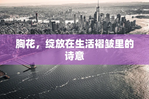 胸花，绽放在生活褶皱里的诗意