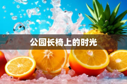 公园长椅上的时光