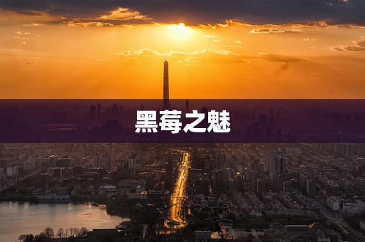 黑莓之魅