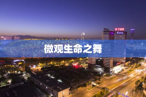 微观生命之舞