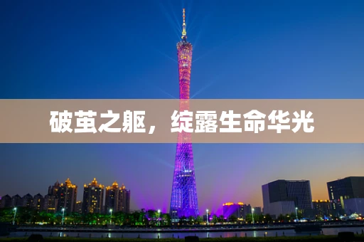破茧之躯，绽露生命华光
