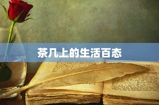 茶几上的生活百态
