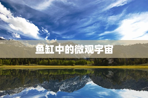 鱼缸中的微观宇宙