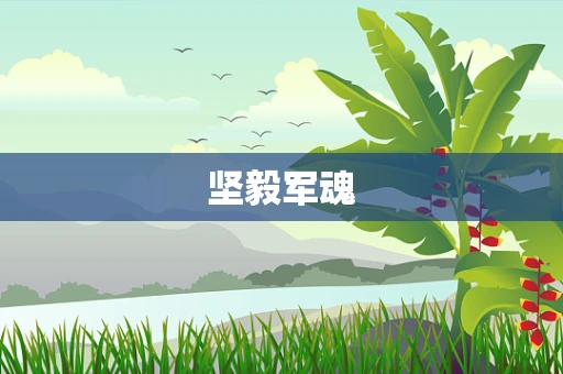 坚毅军魂