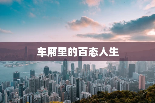 车厢里的百态人生