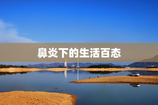 鼻炎下的生活百态