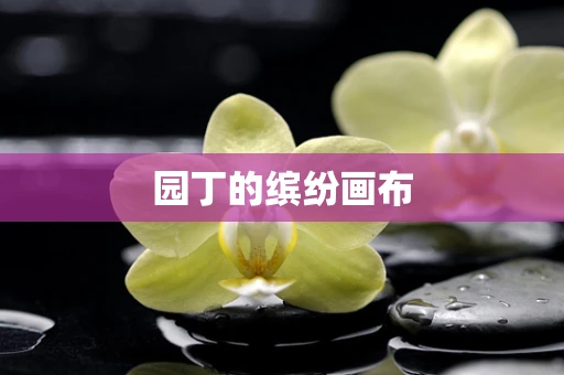 园丁的缤纷画布