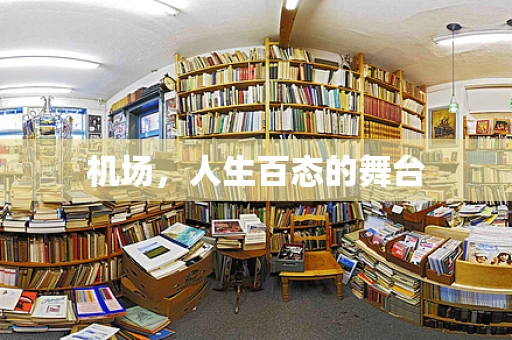 机场，人生百态的舞台