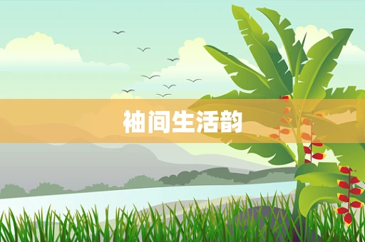 袖间生活韵