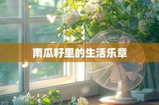 南瓜籽里的生活乐章