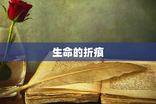 生命的折痕