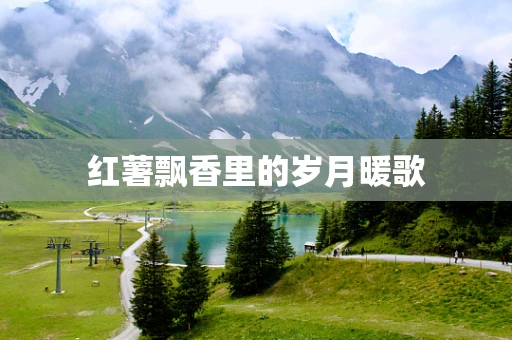 红薯飘香里的岁月暖歌