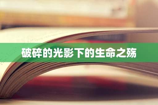 破碎的光影下的生命之殇