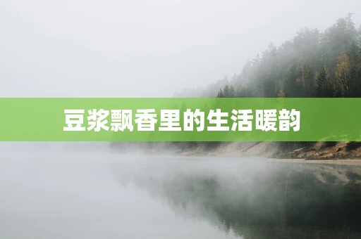 豆浆飘香里的生活暖韵