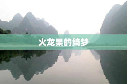 火龙果的绮梦
