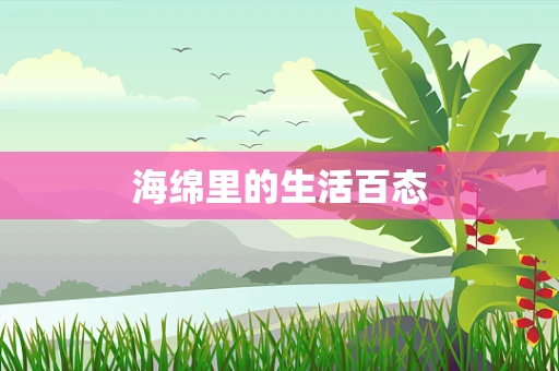 海绵里的生活百态