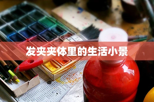 发夹夹体里的生活小景