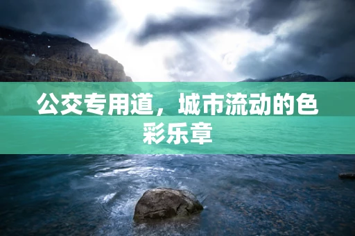 公交专用道，城市流动的色彩乐章
