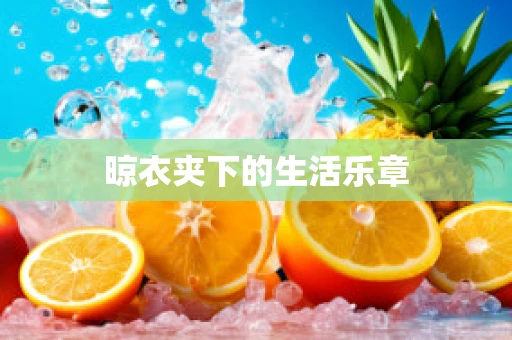 晾衣夹下的生活乐章