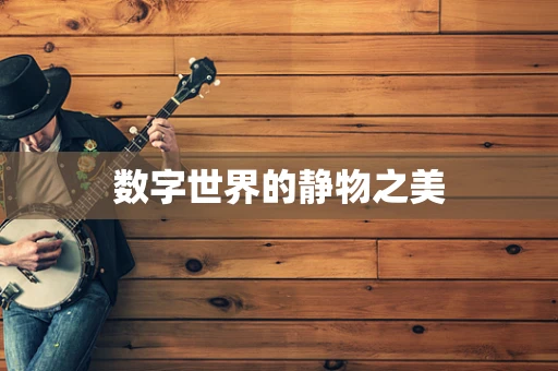 数字世界的静物之美