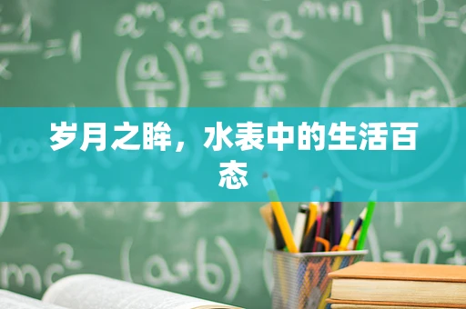 岁月之眸，水表中的生活百态