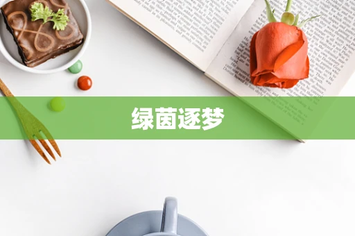 绿茵逐梦