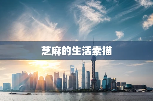 芝麻的生活素描
