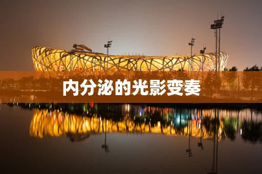 内分泌的光影变奏