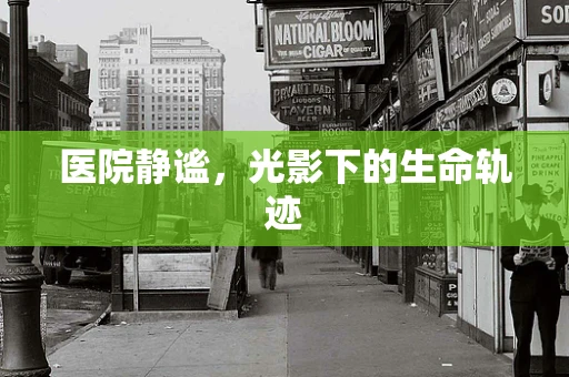 医院静谧，光影下的生命轨迹
