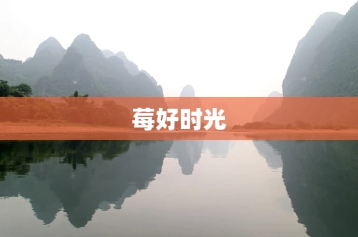 莓好时光