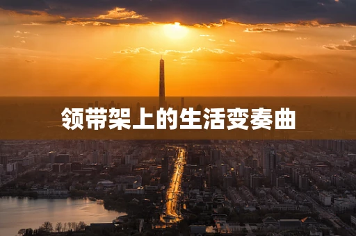 领带架上的生活变奏曲