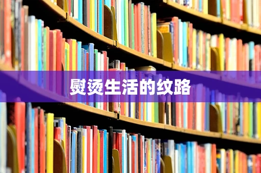 熨烫生活的纹路