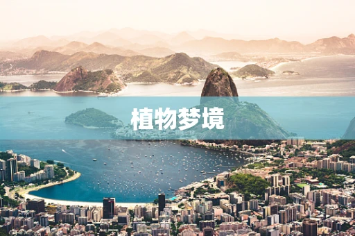 植物梦境