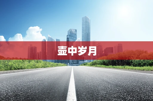 壶中岁月