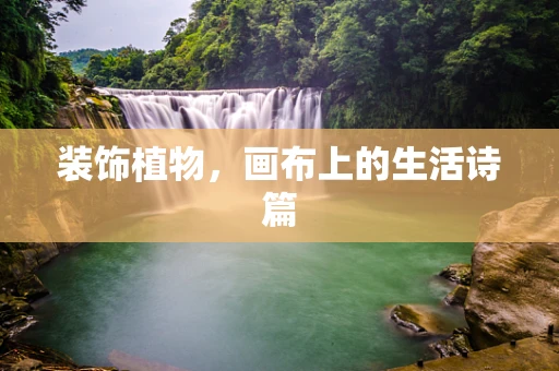 装饰植物，画布上的生活诗篇