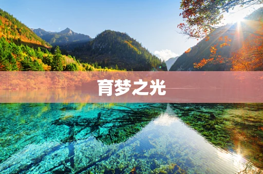 育梦之光