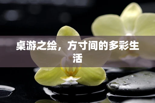 桌游之绘，方寸间的多彩生活