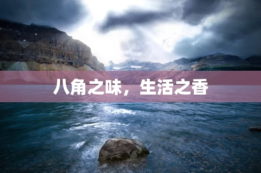 八角之味，生活之香