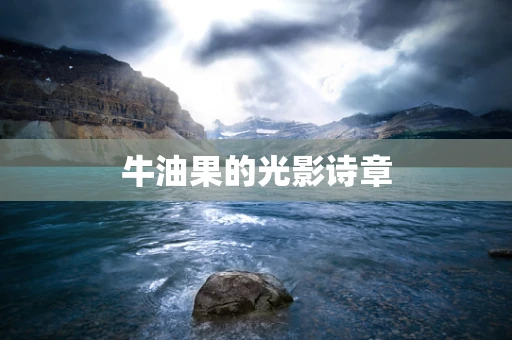 牛油果的光影诗章