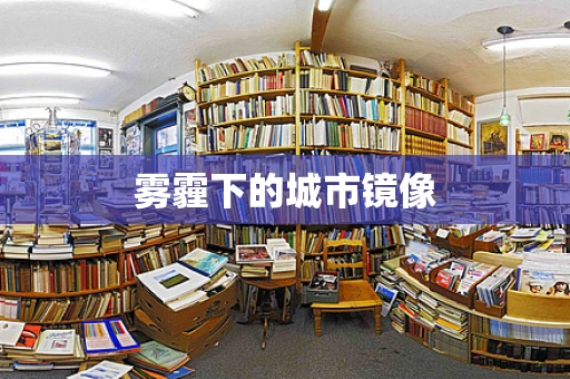 雾霾下的城市镜像