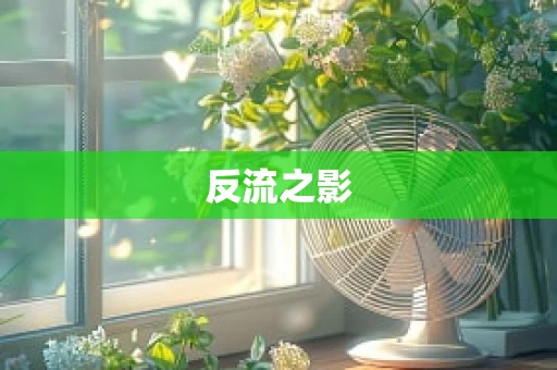 反流之影