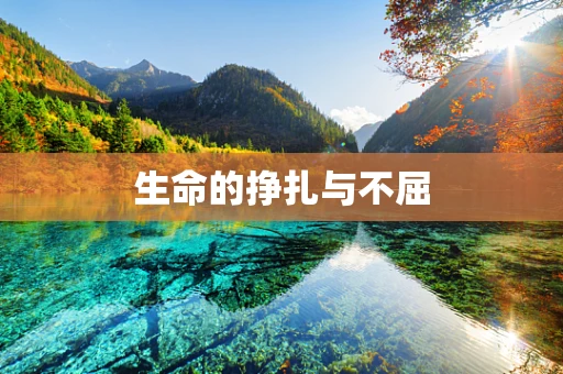 生命的挣扎与不屈
