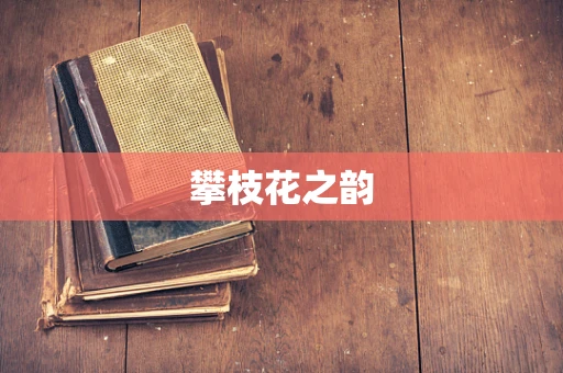 攀枝花之韵