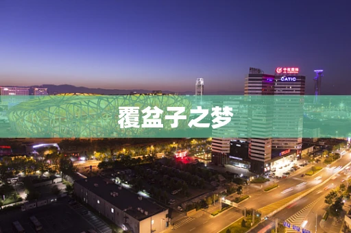 覆盆子之梦