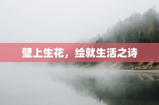 壁上生花，绘就生活之诗