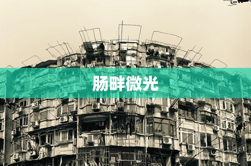 肠畔微光