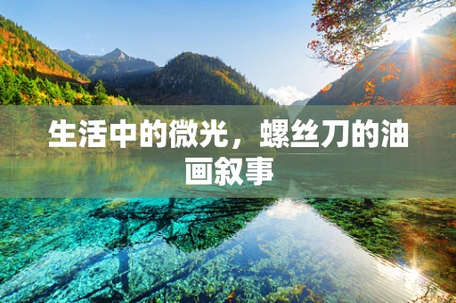 生活中的微光，螺丝刀的油画叙事