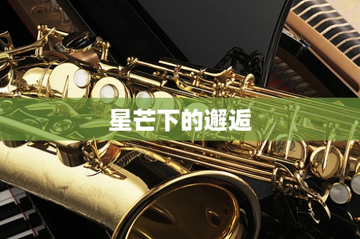 星芒下的邂逅
