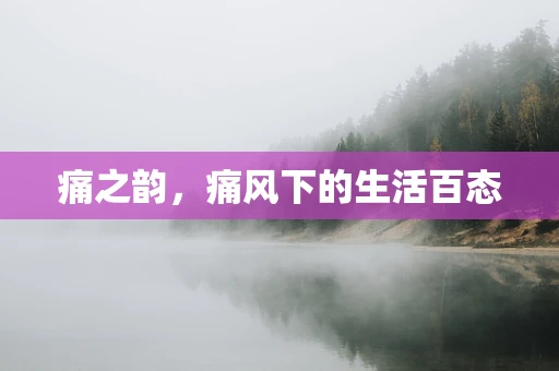 痛之韵，痛风下的生活百态