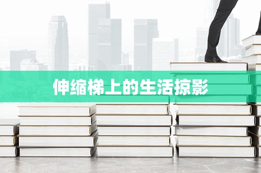 伸缩梯上的生活掠影